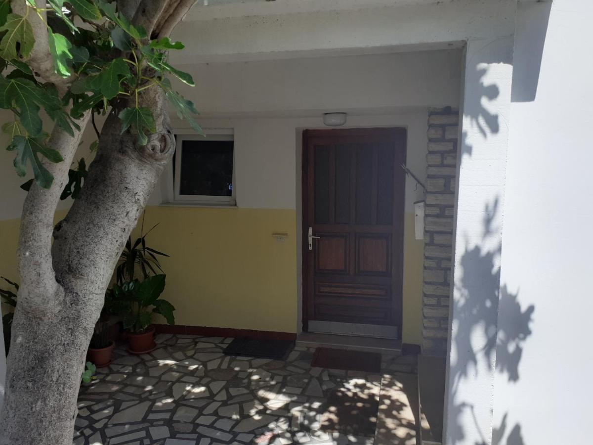 Apartmani Karuza Novalja Extérieur photo